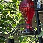 Bircana Glass Hummingbird Feeder 24 Ounces