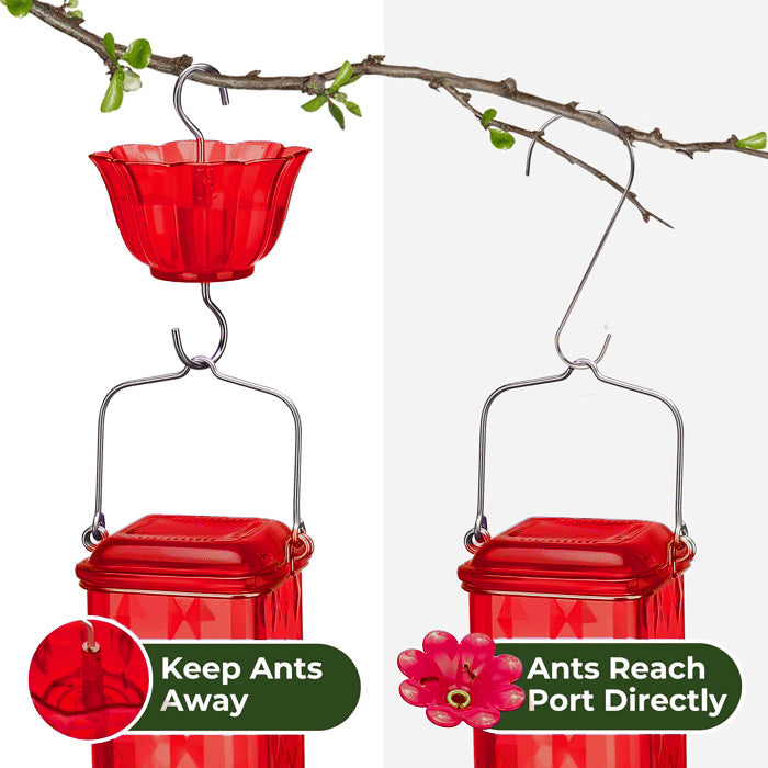 Bircana Hummingbird Feeder for Outdoor Hanging