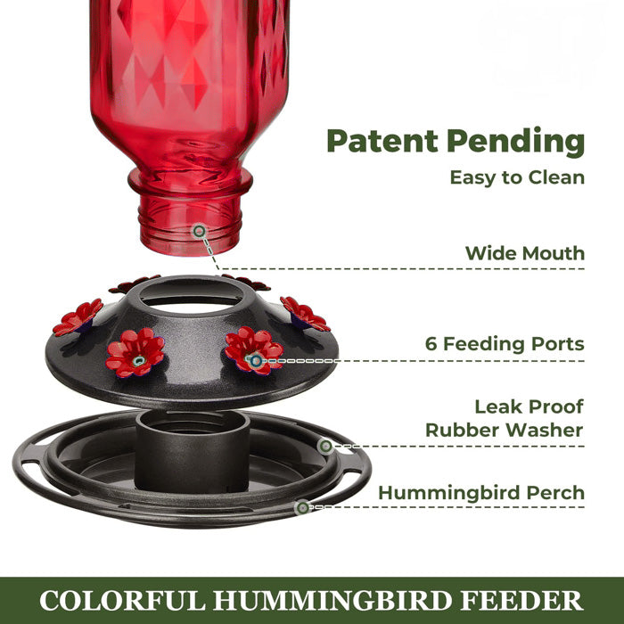 Bircana Hummingbird Feeder for Outdoor Hanging