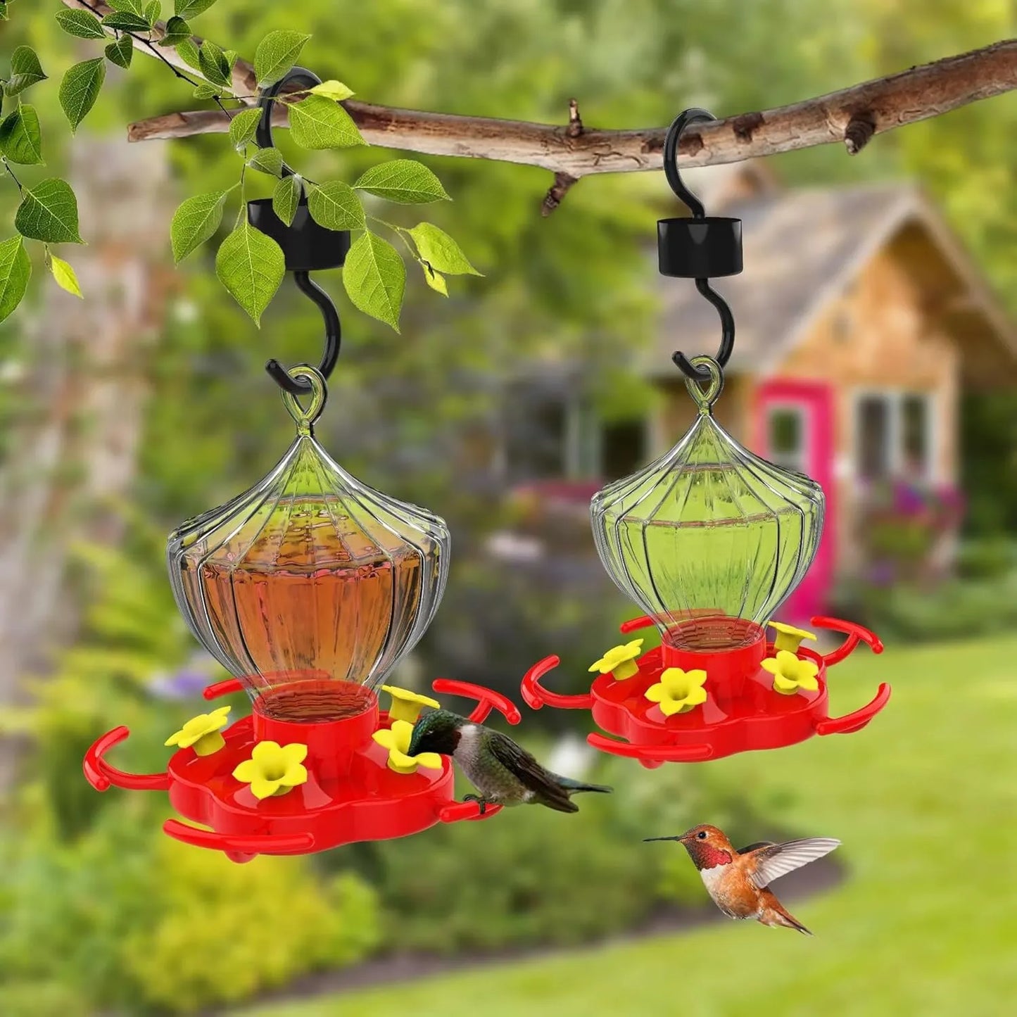 Bircana Hummingbird Feeder