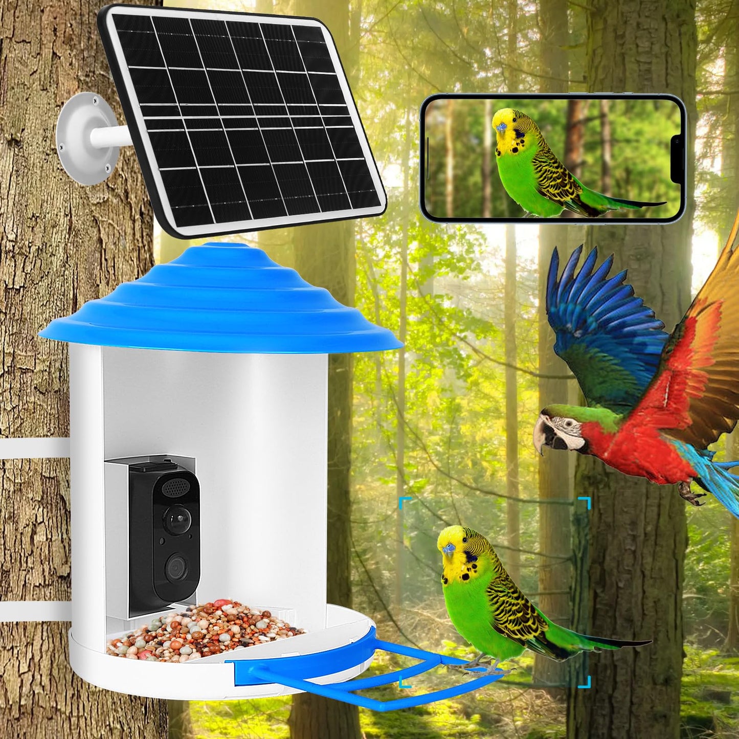 Bircana Smart Hummingbird Feeder with Camera