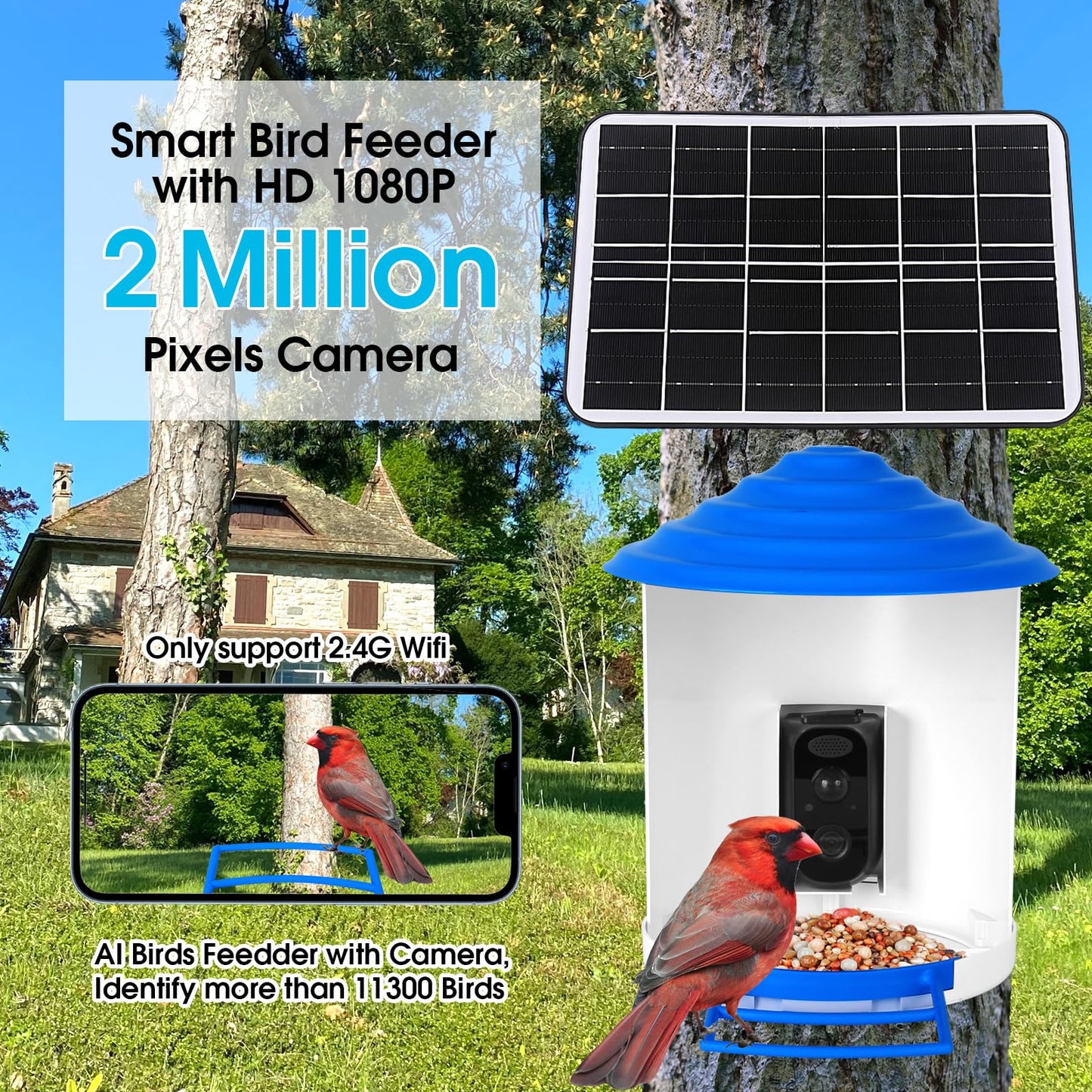 Bircana Smart Hummingbird Feeder with Camera