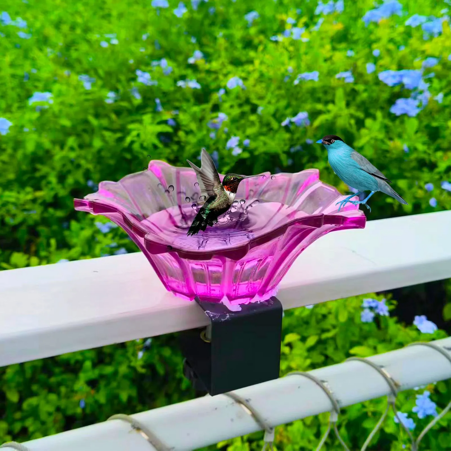 Bircana New Outdoor Garden Bird Bath Bowls & Bird Feeders