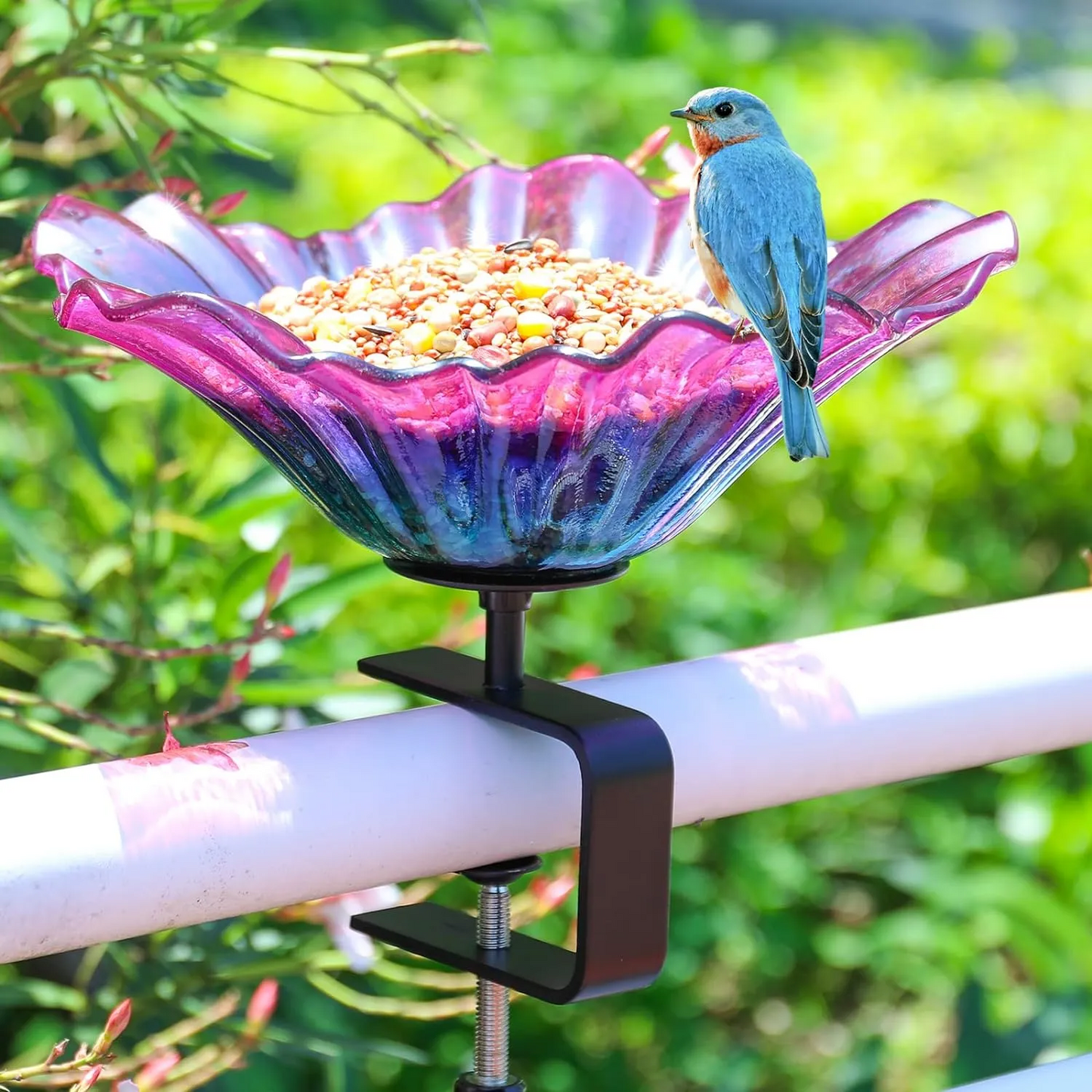 Bircana New Outdoor Garden Bird Bath Bowls & Bird Feeders