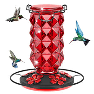 Bircana Diamond Feeder: A Natural Haven for Hummingbirds