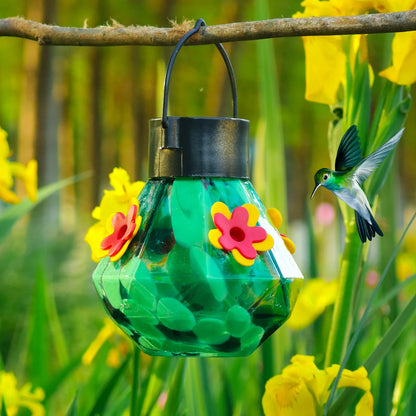 Bircana Hummingbird Feeder with Solar Light
