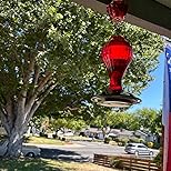 Bircana Glass Hummingbird Feeder 24 Ounces