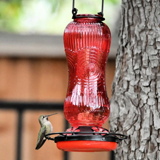 Bircana Vintage Style Glass Hummingbird Feeder