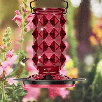 Bircana Diamond Feeder: A Natural Haven for Hummingbirds