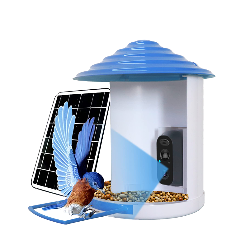 Bircana Smart Hummingbird Feeder with Camera