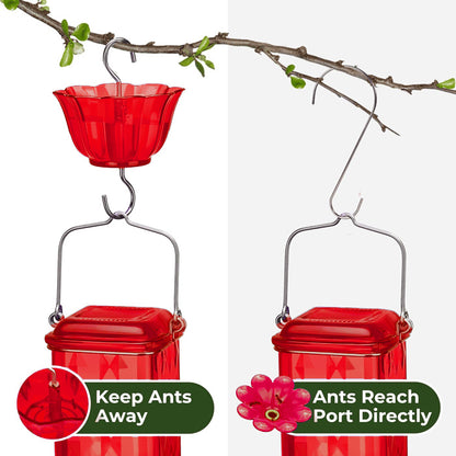 Bircana Hummingbird Feeder for Outdoor Hanging