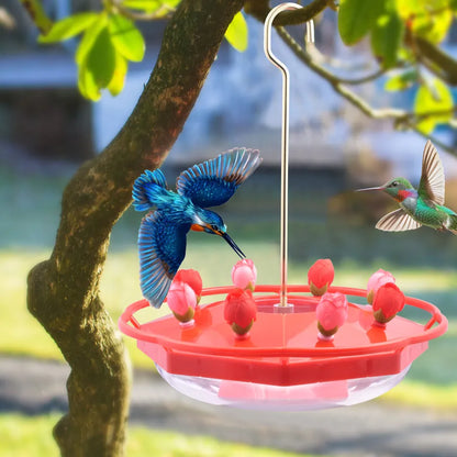 Bircana Hummingbird Feeder