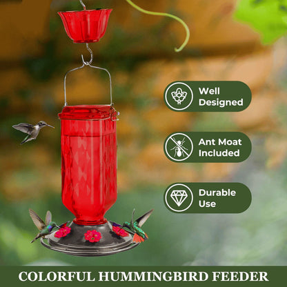 Bircana Hummingbird Feeder for Outdoor Hanging