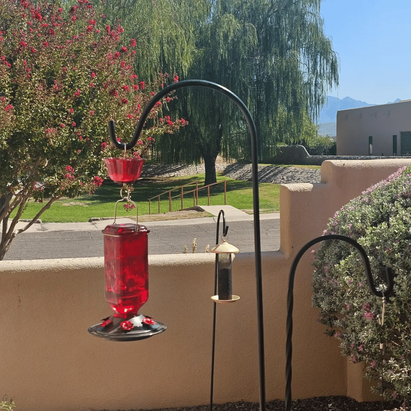 Bircana Hummingbird Feeder for Outdoor Hanging