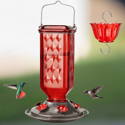 Bircana Hummingbird Feeder for Outdoor Hanging