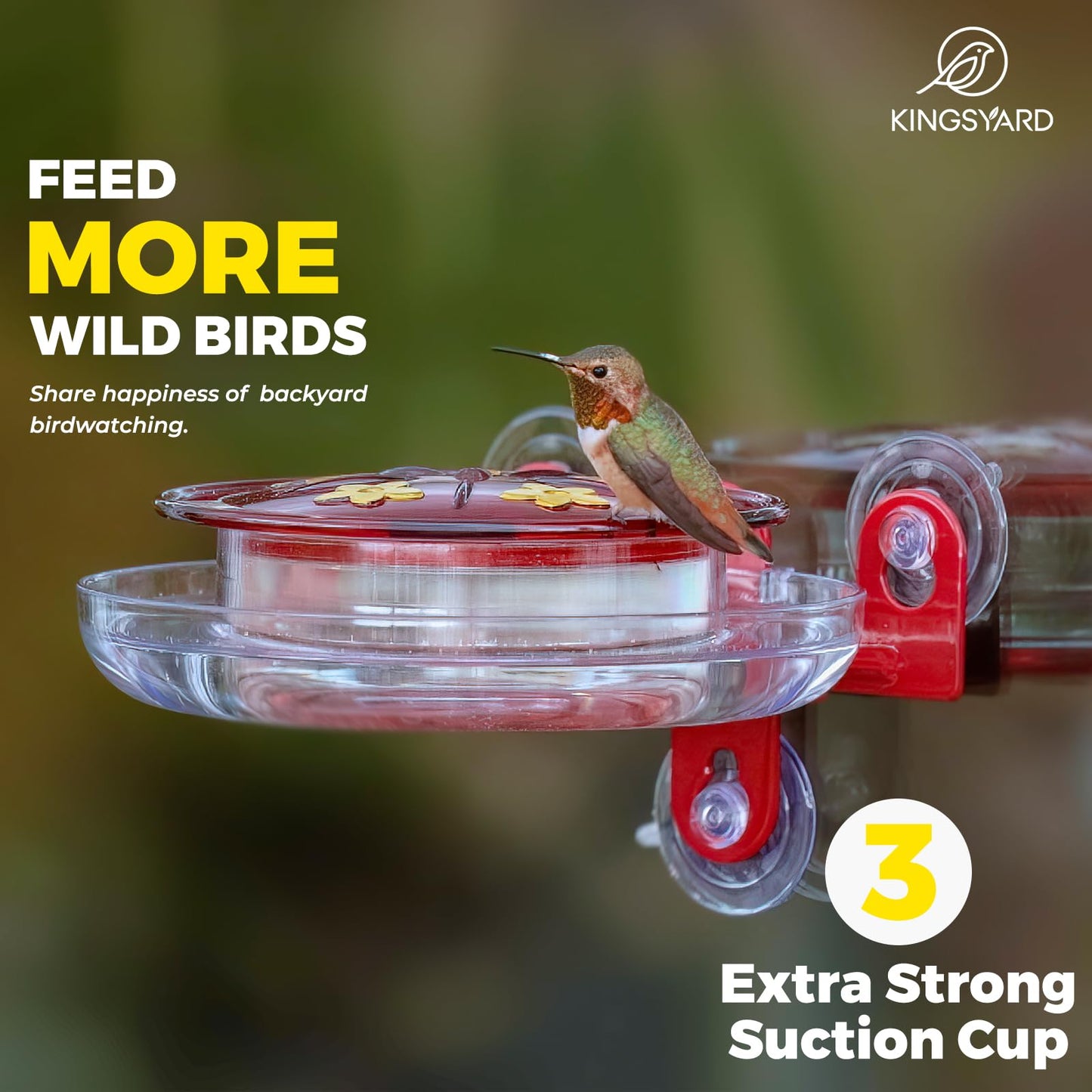 Bircana Hummingbird Feeders