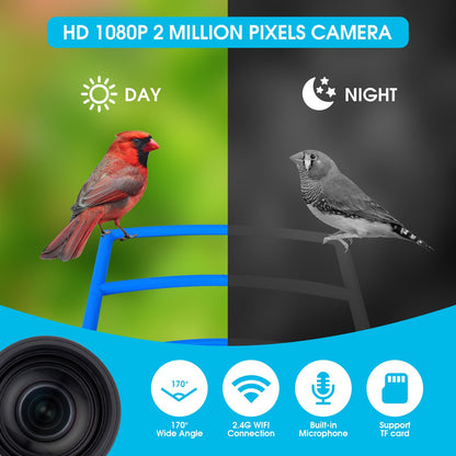 Bircana Smart Hummingbird Feeder with Camera