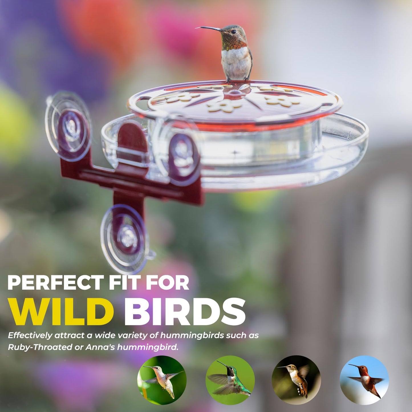 Bircana Hummingbird Feeders