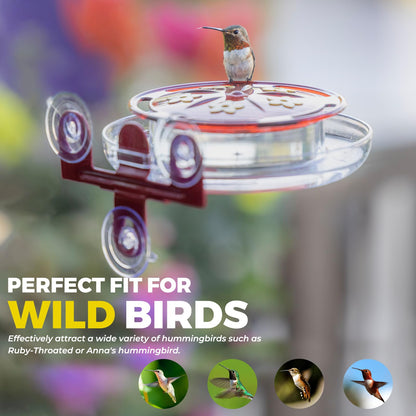 Bircana Hummingbird Feeders