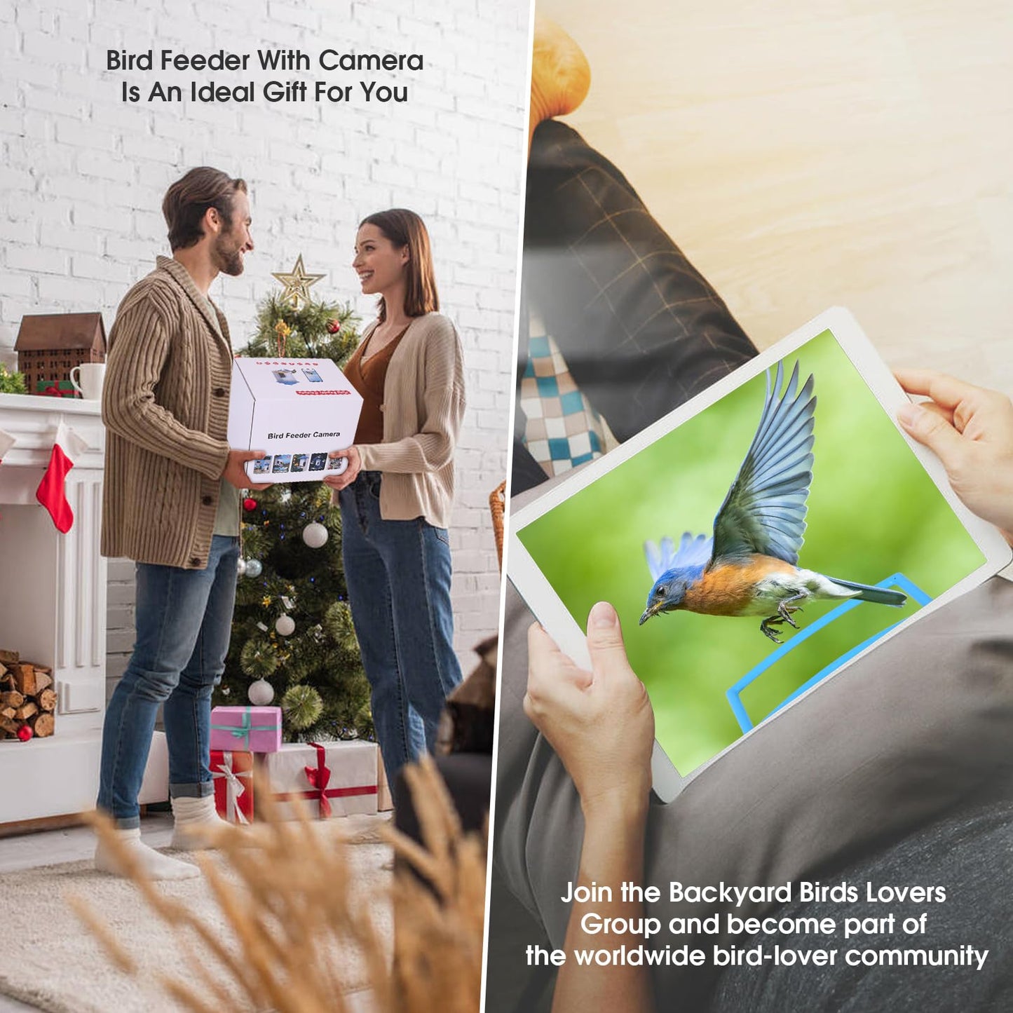 Bircana Smart Hummingbird Feeder with Camera