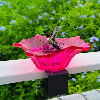 Bircana New Outdoor Garden Bird Bath Bowls & Bird Feeders